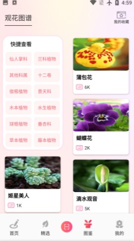 阑舒养花宝2