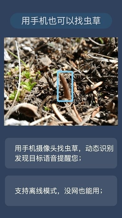 幸运之眼虫草探测器2