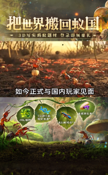 蚁族总动员 蚁族总动员