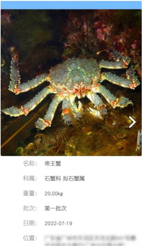 南海天然海鲜商家1