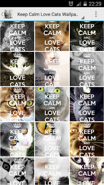 Keep Calm Love Cats Wallpapers
