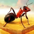 奇妙蚂蚁世界探险
