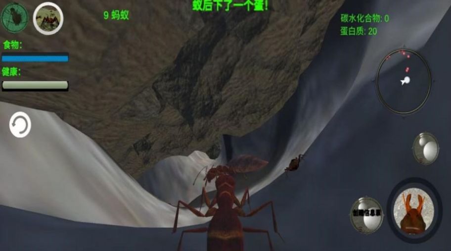 奇妙动物世界探险0