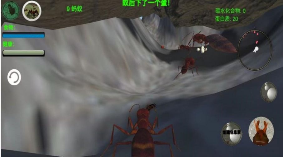 奇妙动物世界探险2