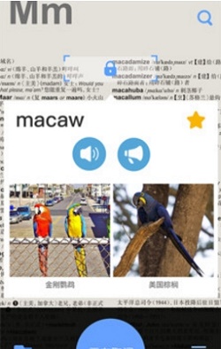 新世纪英汉大词典2