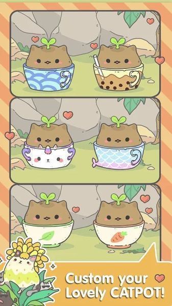 My CatPots3