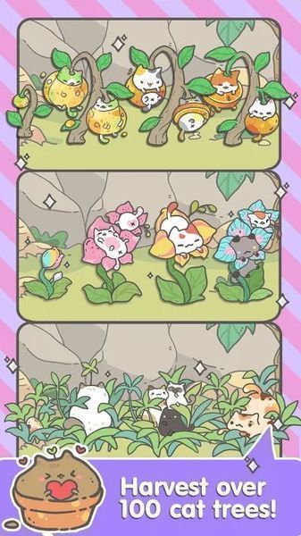 My CatPots.jpg My CatPots.jpg