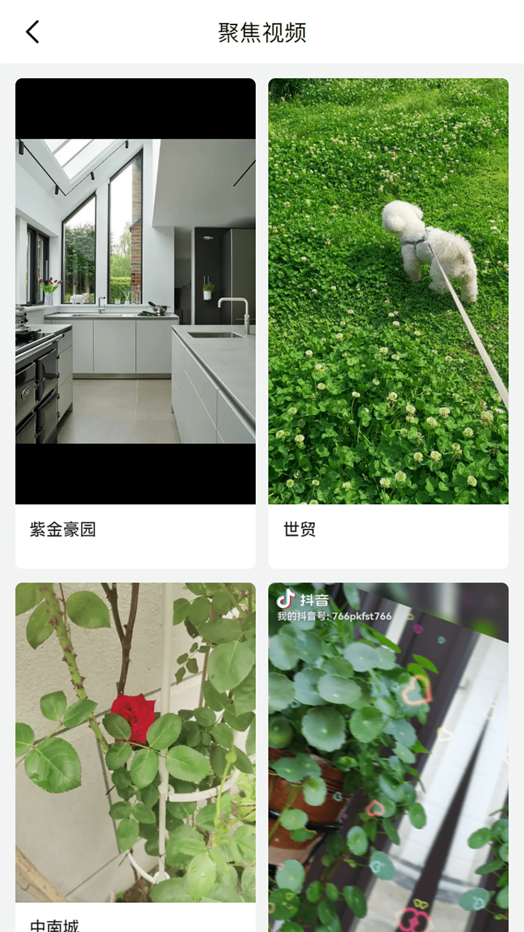 喵喵看房 喵喵看房