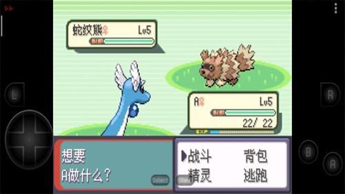 口袋妖怪荒芜的世界重制版1
