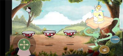 茶杯头卡格尼康乃馨1