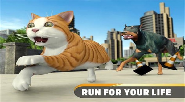 流浪街头猫逃脱0