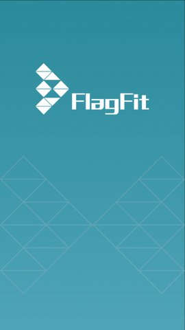 FlagFit FlagFit