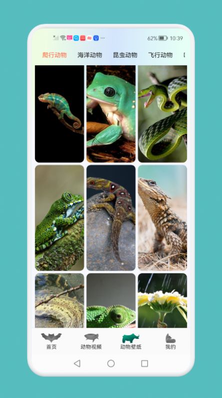 动物吧知识学习1