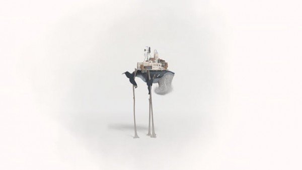 行走的老鲸鱼 行走的老鲸鱼