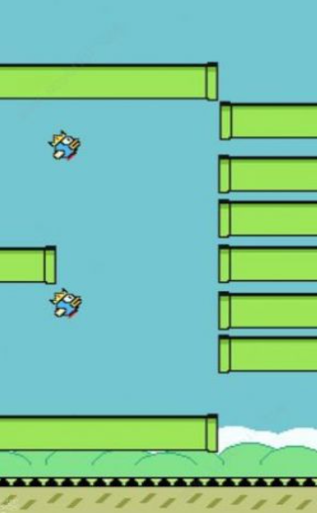 m木糖m笨鸟先飞0