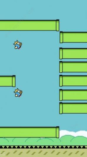 笨鸟先飞 笨鸟先飞