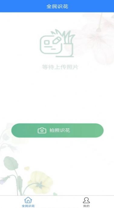 全民识花 全民识花