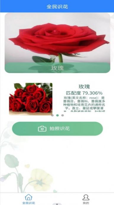 全民识花 全民识花