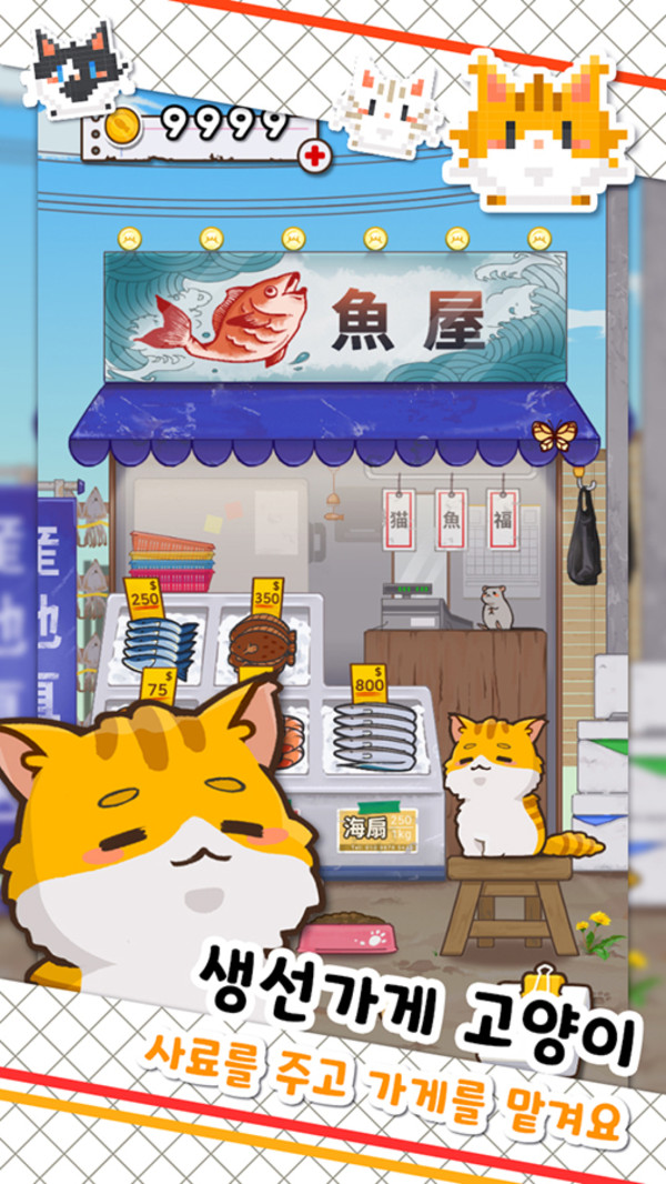 鱼店猫老板.jpg 鱼店猫老板.jpg