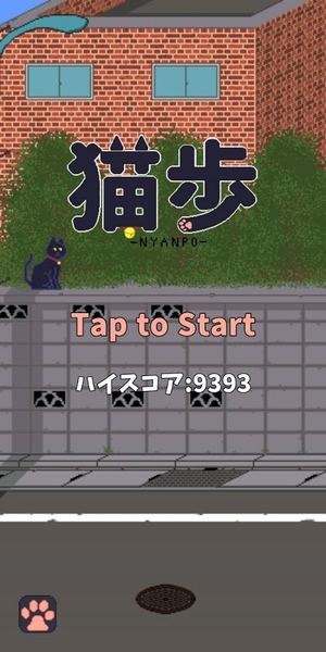 猫歩.jpg