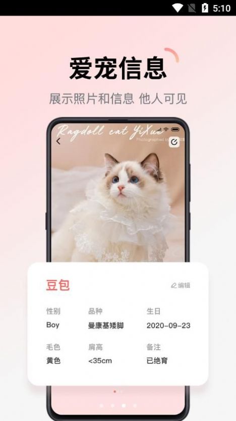 多仔宠物 多仔宠物