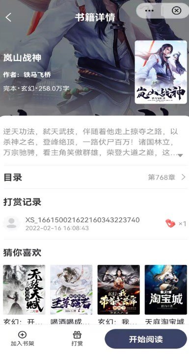飞象小说无广告版