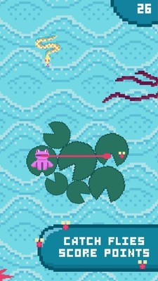 休闲青蛙3