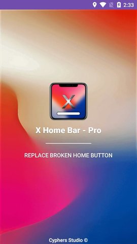 X Home Bar - Pro2