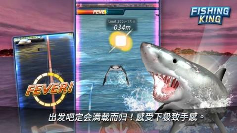 钓鱼王城市垂钓者之王2