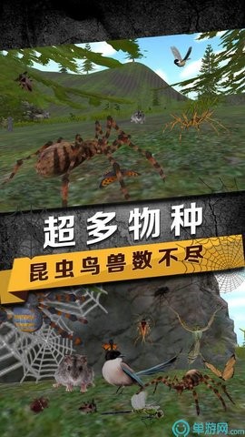 蜘蛛生存模拟器1