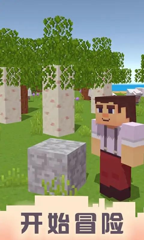 我的立方体工艺世界1