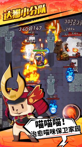 达猫小分队炼金3