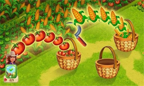 烹饪市场农场餐厅0