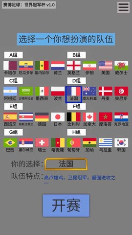 赛博足球：世界冠军杯0