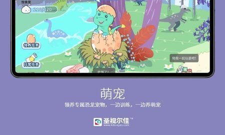 圣视尔佳弱视训练hd