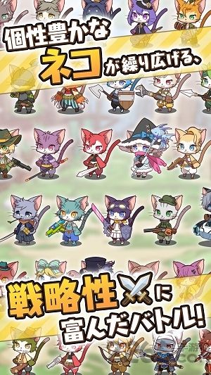 Cat Busters collections2