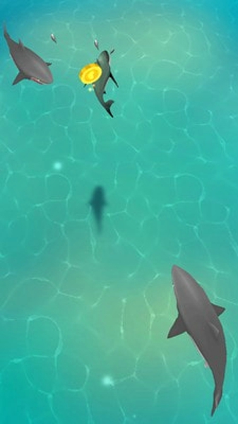 美味深海1