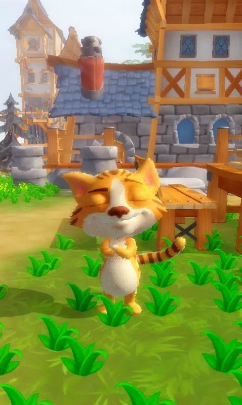 我说话的猫.jpg 我说话的猫.jpg