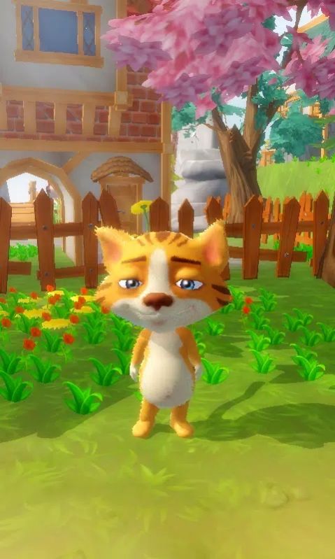 我说话的猫.jpg 我说话的猫.jpg