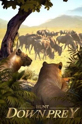 野兽领主新世界 野兽领主新世界