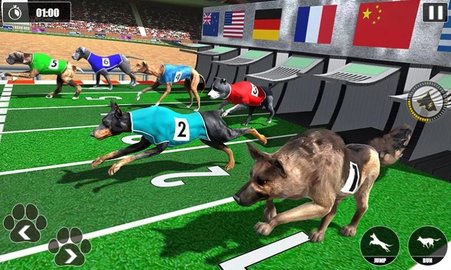 赛狗锦标赛（Dog Racing Championship）2