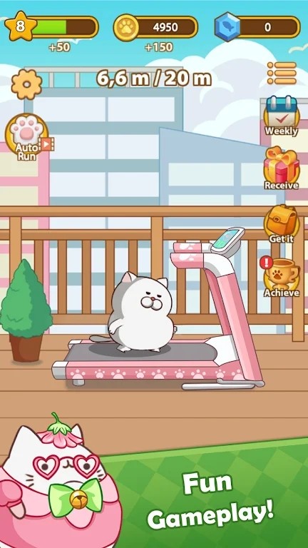 猫咪赛跑凯蒂冲刺1