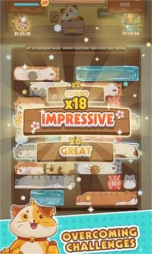 猫猫安全滑动拼图1