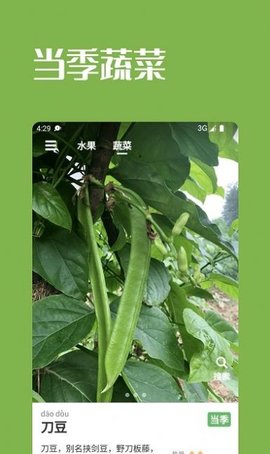 果蔬时节2