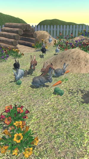 兔子朋友 兔子朋友