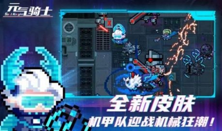 元气骑士池鸳直装2