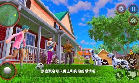 狗狗家庭陪伴（Curious Pet Dog Family）0