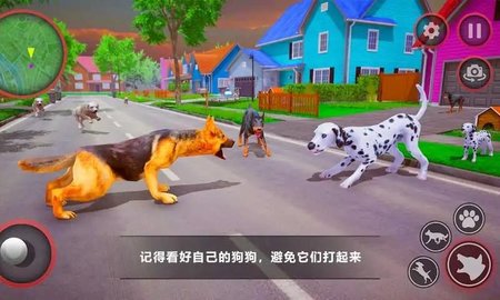 狗狗家庭陪伴（Curious Pet Dog Family）1