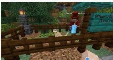 剑树工艺（Craft Fun）3