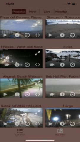Live Camera Viewer1